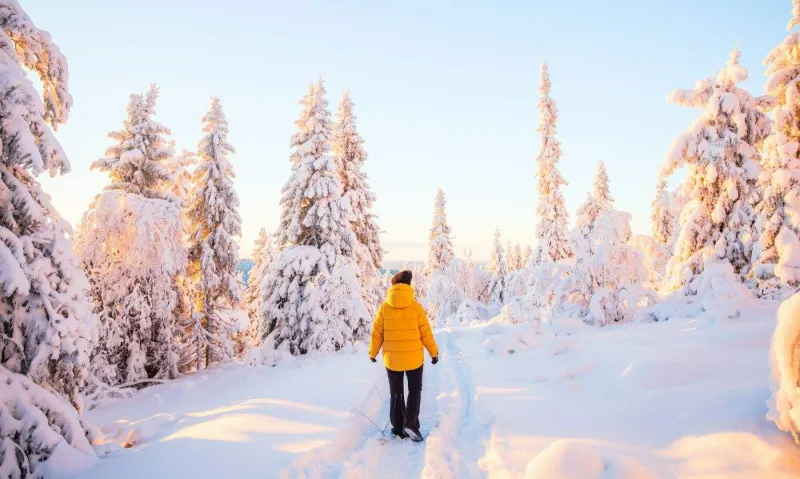 L’hiver en Finlande transforme le pays en un royaume de neige.