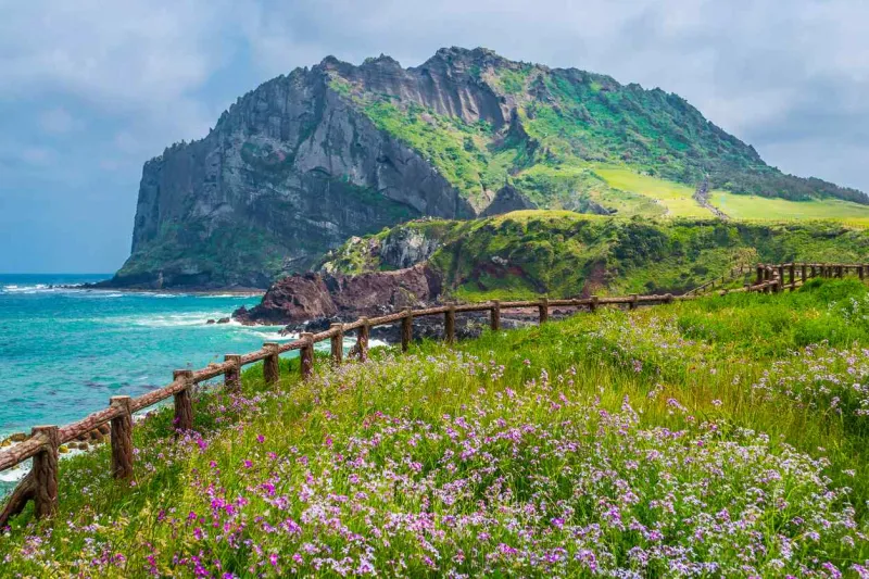 L’île de Jeju-Do, située en Corée du Sud, est réputée pour ses paysages volcaniques spectaculaires.