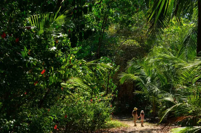 Observer la faune de la jungle fait partie des activités préférées des plus jeunes.