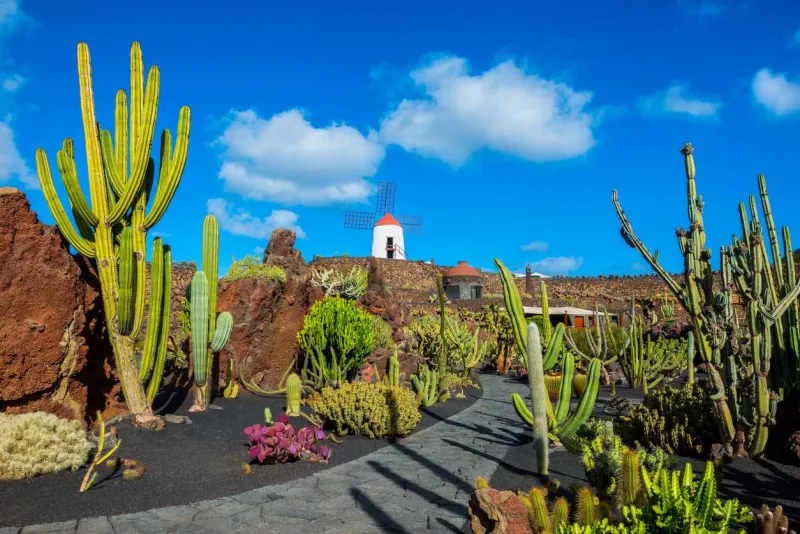 Avec une température de 22°C en moyenne en hiver, Lanzarote est l'une des destinations les plus chaudes d'Europe.