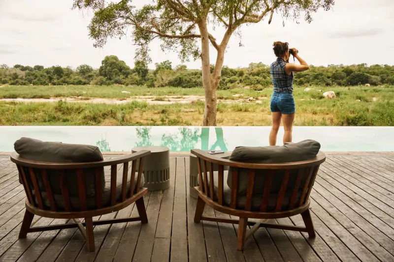 Les lodges de luxe en Afrique du Sud allient confort raffiné et immersion au cœur de la nature sauvage.