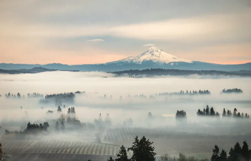 La vallée de la Willamette en Oregon.