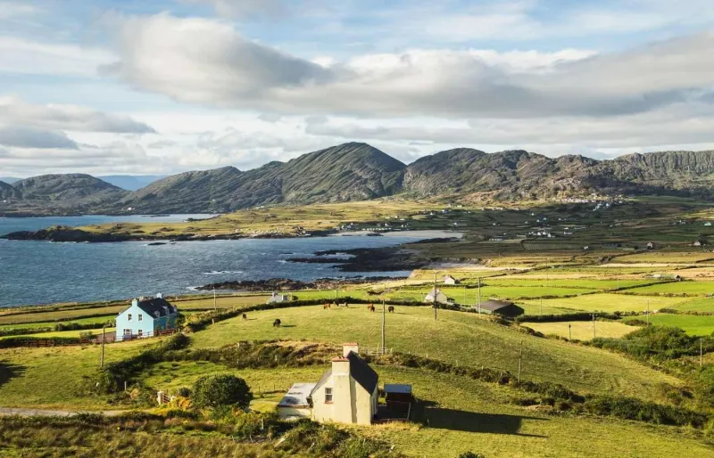 Découvrez le charme de la vie rurale irlandaise le long du Ring of Beara.