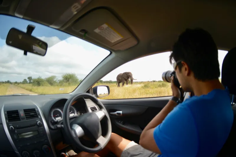 Si vous préférez voyager à votre rythme, optez pour un safari en autonomie. 