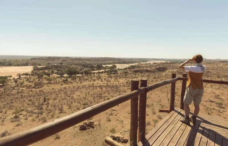 Il est possible de faire une randonnée safari en Afrique du Sud.
