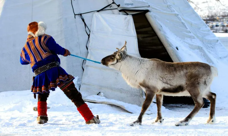 Les Samis, peuple autochtone de la Laponie, préservent encore aujourd’hui leurs traditions et leur lien étroit avec la nature.