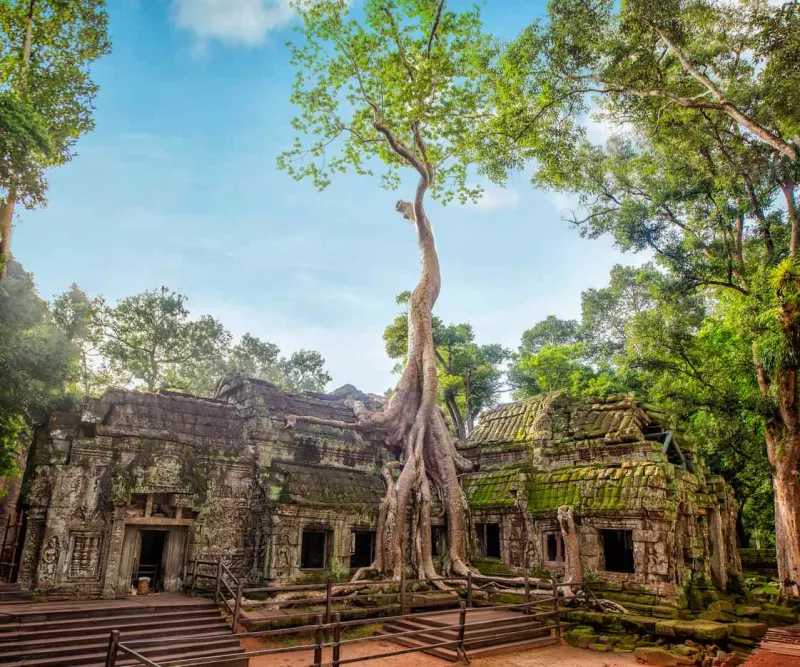 La jungle recouvre le temple de Banana Ta Prohm.