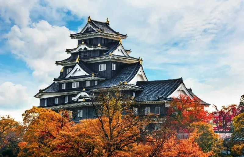 Le château d'Okayama.