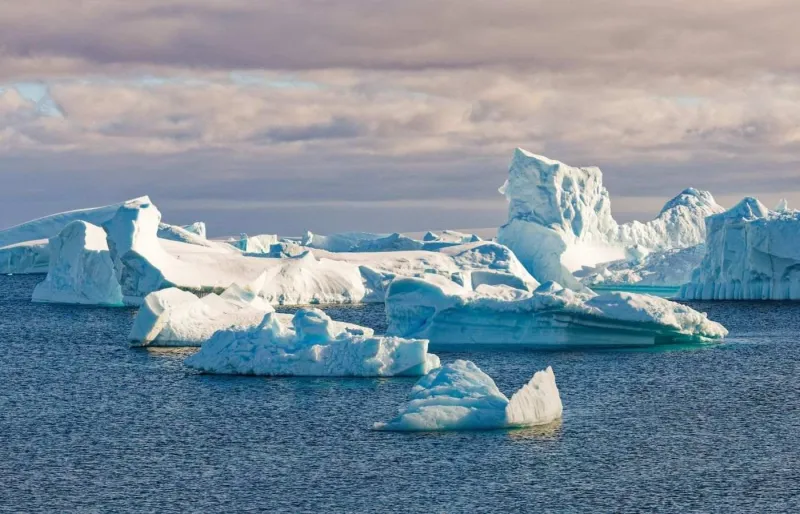 La banquise, les icebergs et les glaciers colossaux composent un décor irréel.