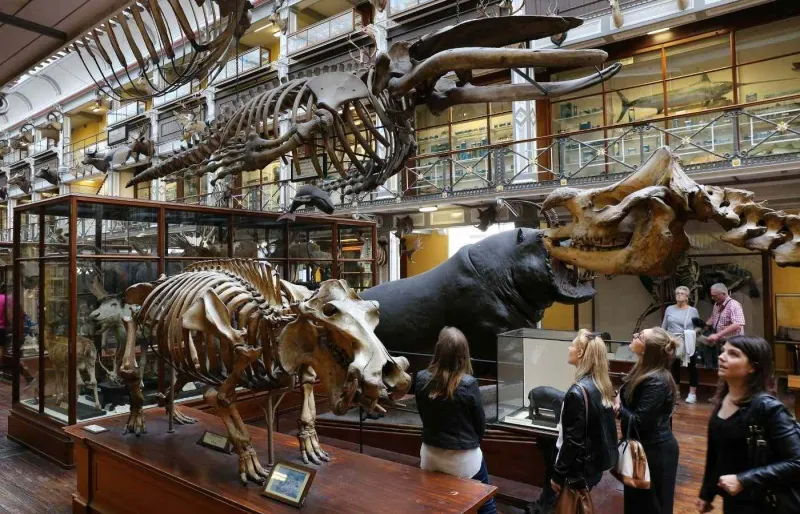 Le musée d'histoire naturelle de Dublin.