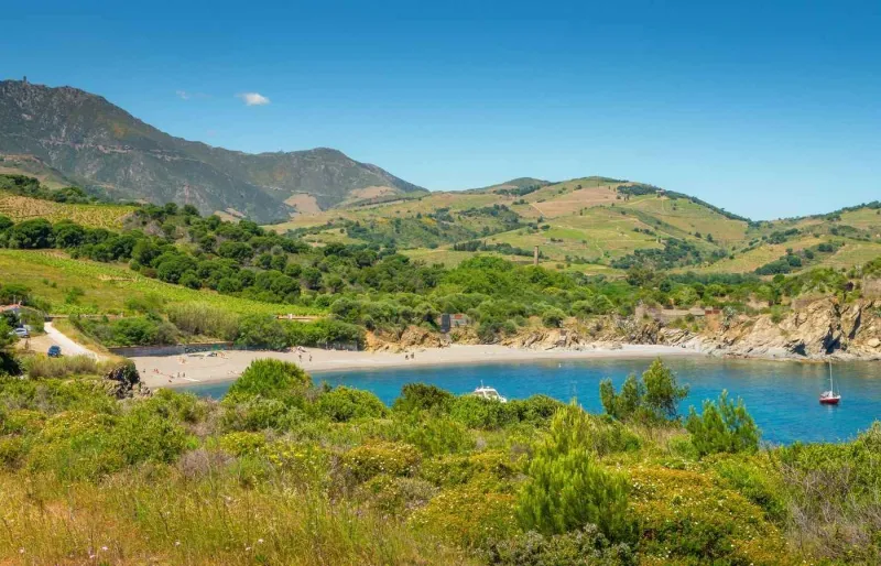 L’Anse de Paulilles séduit par ses eaux turquoise et son cadre naturel préservé au cœur de la Côte Vermeille.