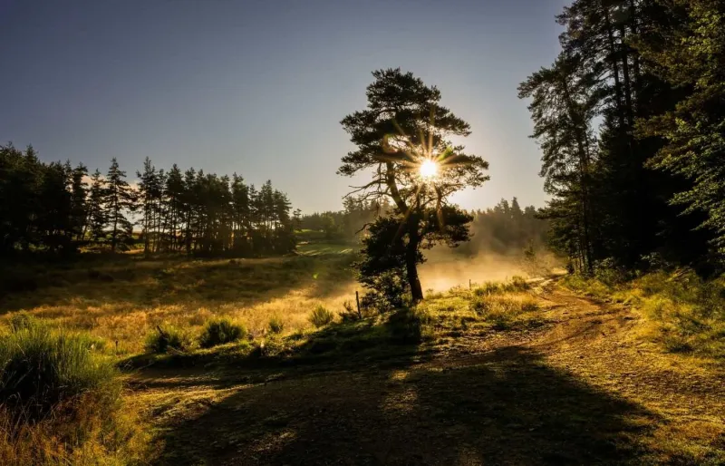 La spectaculaire tourbière du mont Bar en Auvergne.