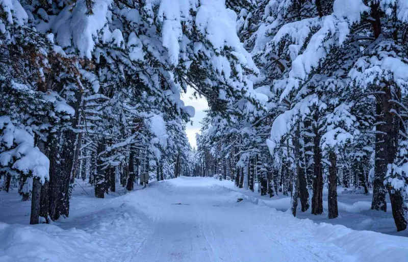 En hiver, le plateau du Capcir offre un décor idéal pour des balades en raquettes.