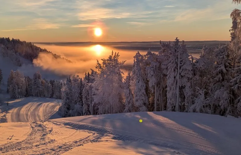 L’heure dorée en Laponie teinte l’horizon de nuances chaudes qui contrastent avec le froid polaire.