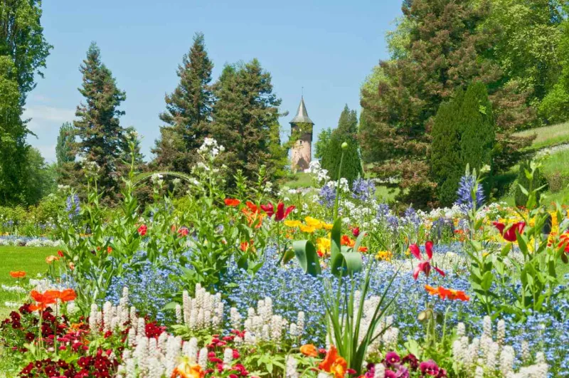 L’île de Mainau, surnommée « l’île aux fleurs », est un joyau botanique du lac de Constance.