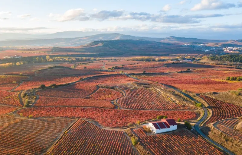 La Rioja en automne, Espagne