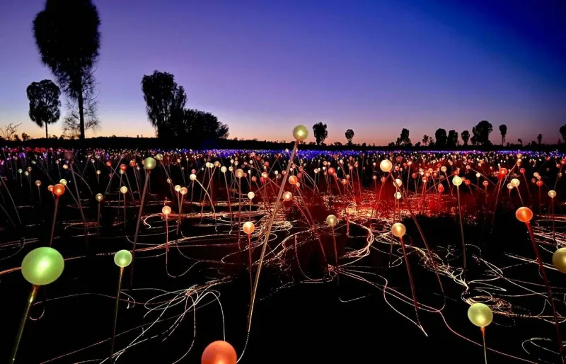 Le Field of Light est installation lumineuse qui illumine le désert au pied d’Uluru à la tombée de la nuit.