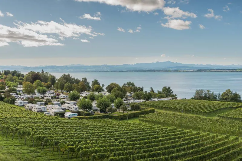 Les vignobles de Hagnau sur le lac de Constance.