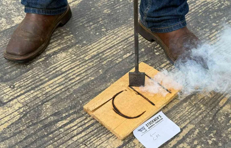 Démonstration de branding au fer rouge dans un ranch en Alberta, au Canada