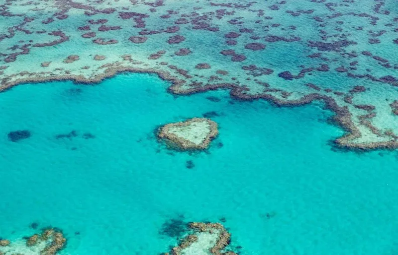 Le récif corallien de la Grande Barrière de corail