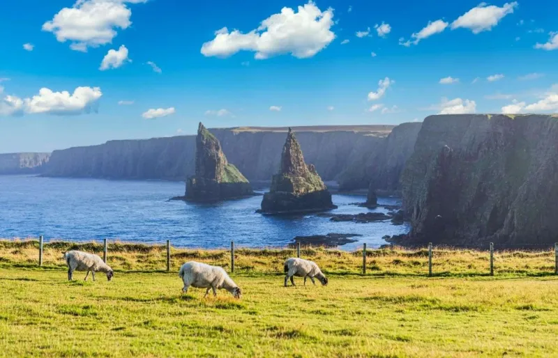 Les falaises spectaculaires de Duncansby Head offrent une randonnée côtière spectaculaire.
