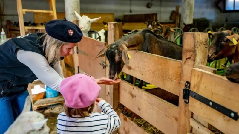 La chévrerie des Thoules, une ferme pédagogique dans la vallée d'Abondance