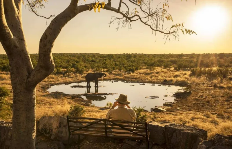 Voyageur observant un éléphant s’abreuvant dans le parc national d’Etosha en Namibie, scène typique de safari