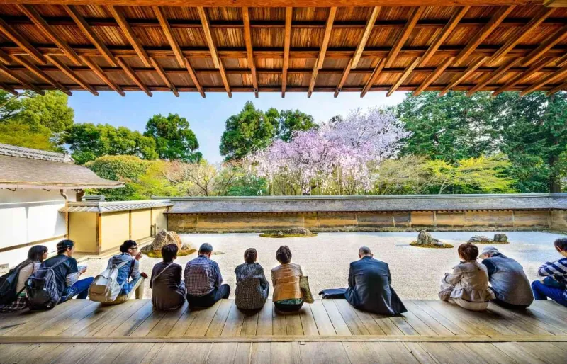 Jardins secs du temple Ryoan-ji à Kyoto, avec visiteurs observant le jardin zen et les cerisiers en fleurs au printemps