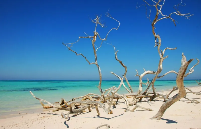 Plage de Cayo Jutías à Cuba, sable blanc et eaux turquoise dans un cadre naturel préservé