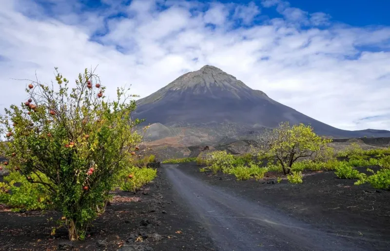 Pico do Fogo et vignobles de Chã das Caldeiras sur l’île de Fogo au Cap-Vert