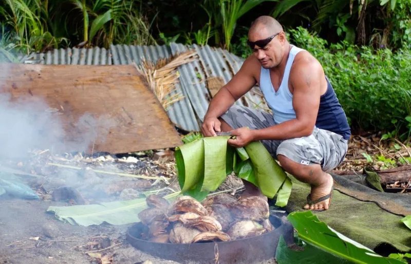 Préparation d’un four tahitien ahimaa avec pierres chauffées pour la cuisson traditionnelle de plats polynésiens
