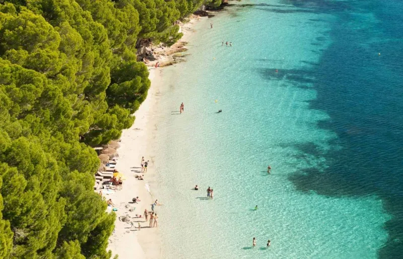 Plage de Formentor à Majorque dans les Baléares avec eau turquoise et pinède