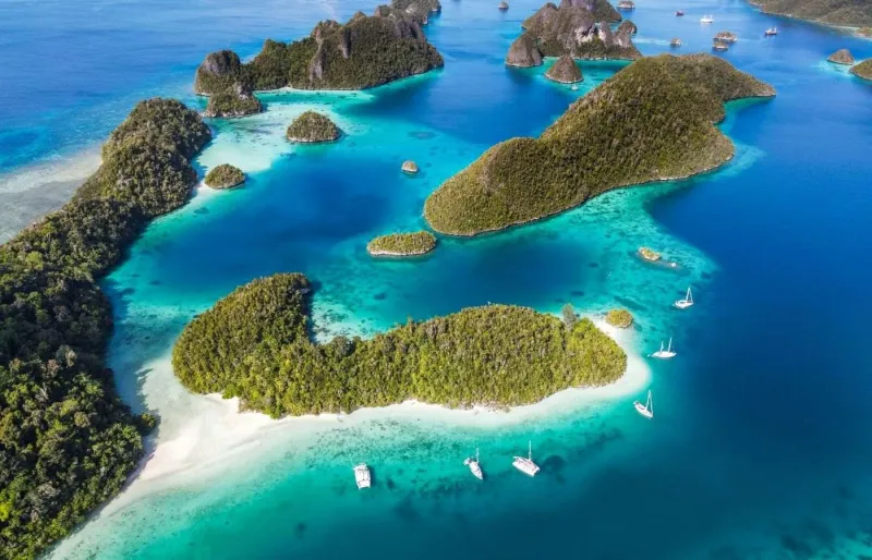 Vue aérienne des îles Wayag à Raja Ampat en Indonésie avec leurs récifs coralliens tropicaux