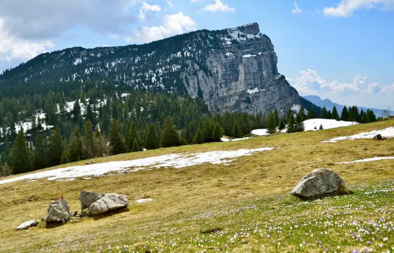 Randonnée au col de l’Alpette en Chartreuse avec vue sur les falaises et alpages