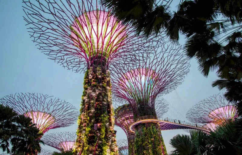 Gardens by the Bay à Singapour, symbole d’architecture verte et d’urbanisme durable