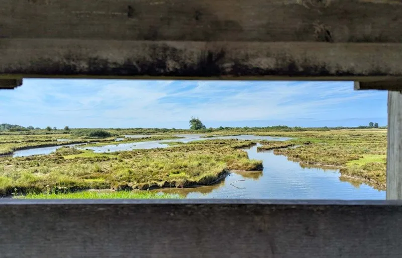 Cabane d’observation dans l’estuaire de l’Orne à Sallenelles en Normandie