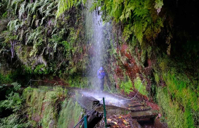 Levada do Rei à Madère avec sentier en forêt et cascade vers Ribeiro Bonito