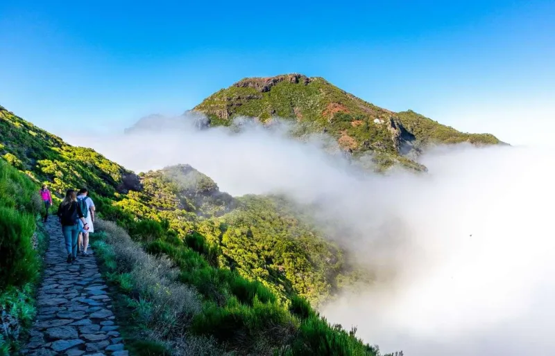 Sentier menant au sommet du Pico Ruivo à Madère