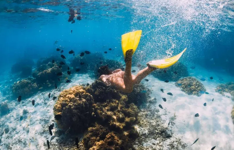Snorkeling à l’île Maurice dans un lagon préservé avec poissons tropicaux