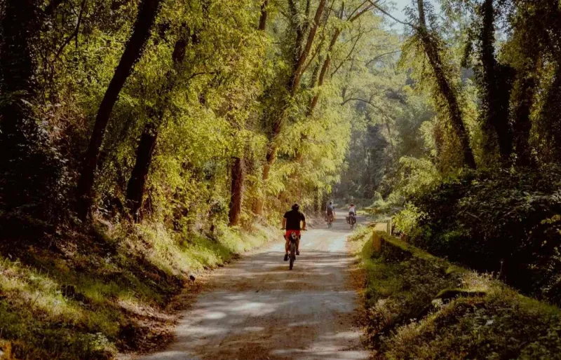 Cyclistes sur une route forestière près de Gérone en Catalogne