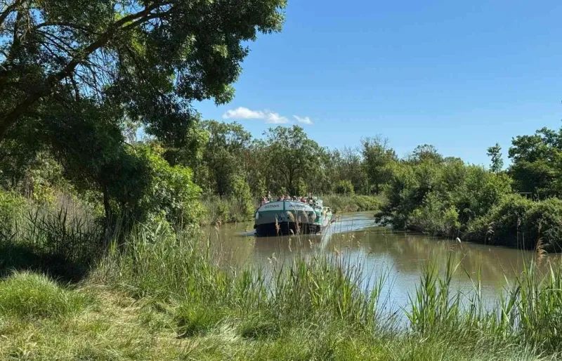 Péniche naviguant sur le Canal du Midi entre Vias et Sète dans le sud de la France