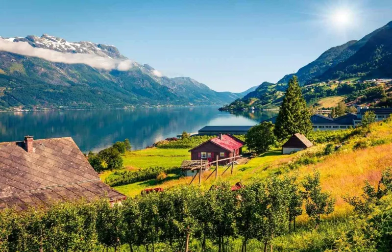Vergers en fleurs et maisons à Lofthus au bord du Hardangerfjord en Norvège