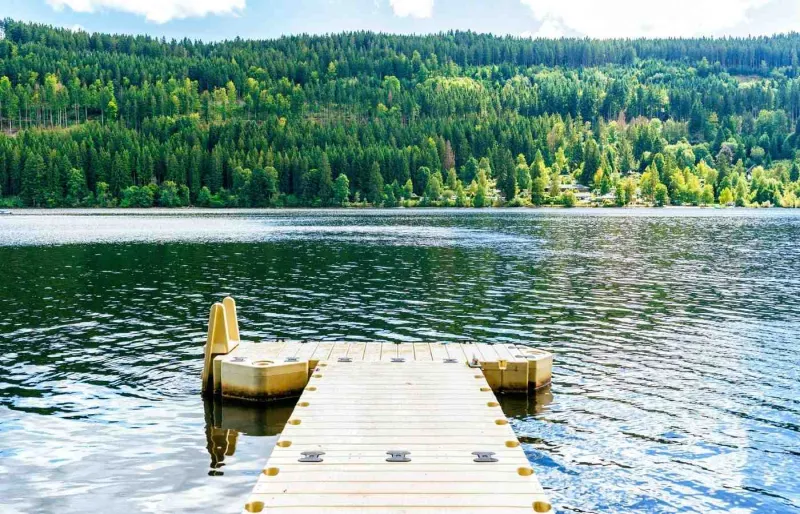 Ponton sur le lac Titisee entouré de forêts dans la Forêt-Noire en Allemagne