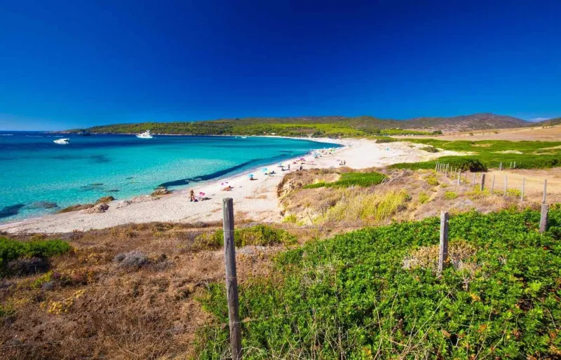 La plage du Grand Capo di Feno près d’Ajaccio, avec son sable clair et ses eaux turquoise en Corse.