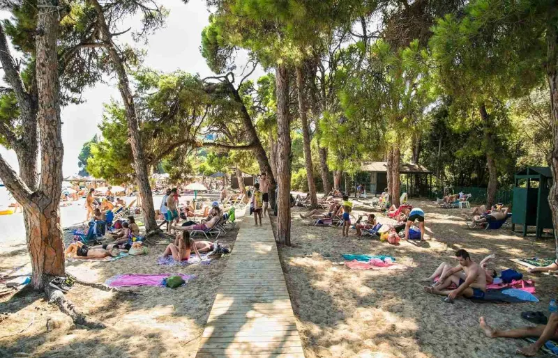 Vacanciers à l’ombre des pins sur la plage de Koukounaries à Skiathos en Grèce