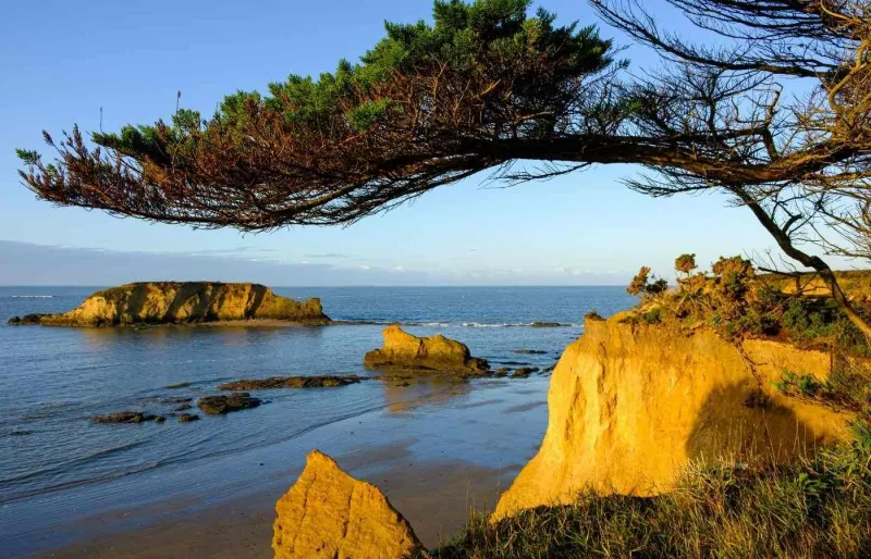 Falaises ocres de la plage de la Mine d’Or à Pénestin dans le Morbihan au coucher du soleil