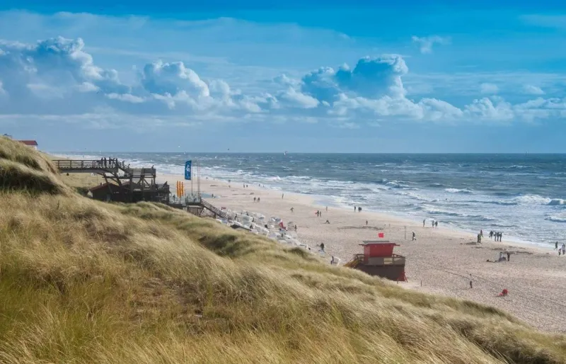 Plage de Sylt balayée par le vent avec dunes sur la côte de la mer du Nord en Allemagne