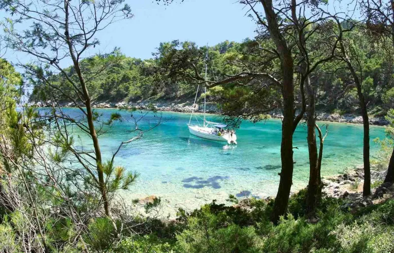 Voilier ancré dans une crique aux eaux turquoise entourée de forêts de pins sur l'île de Mljet en Croatie