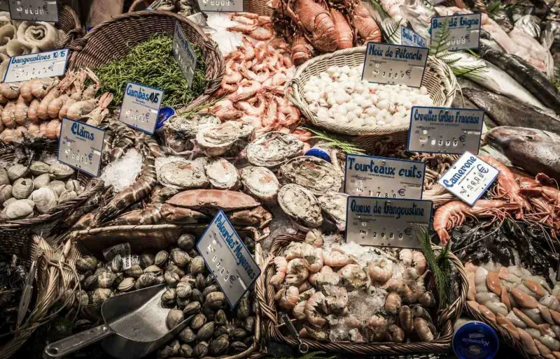 Étal de poissons, coquillages et crustacés au marché de Saint-Aubin à Toulouse