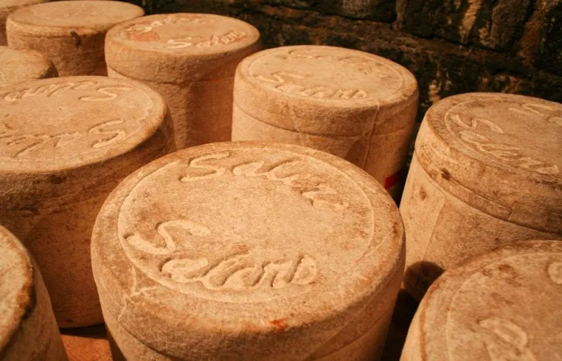Fourmes de Salers AOP en affinage, fromage emblématique d'Auvergne